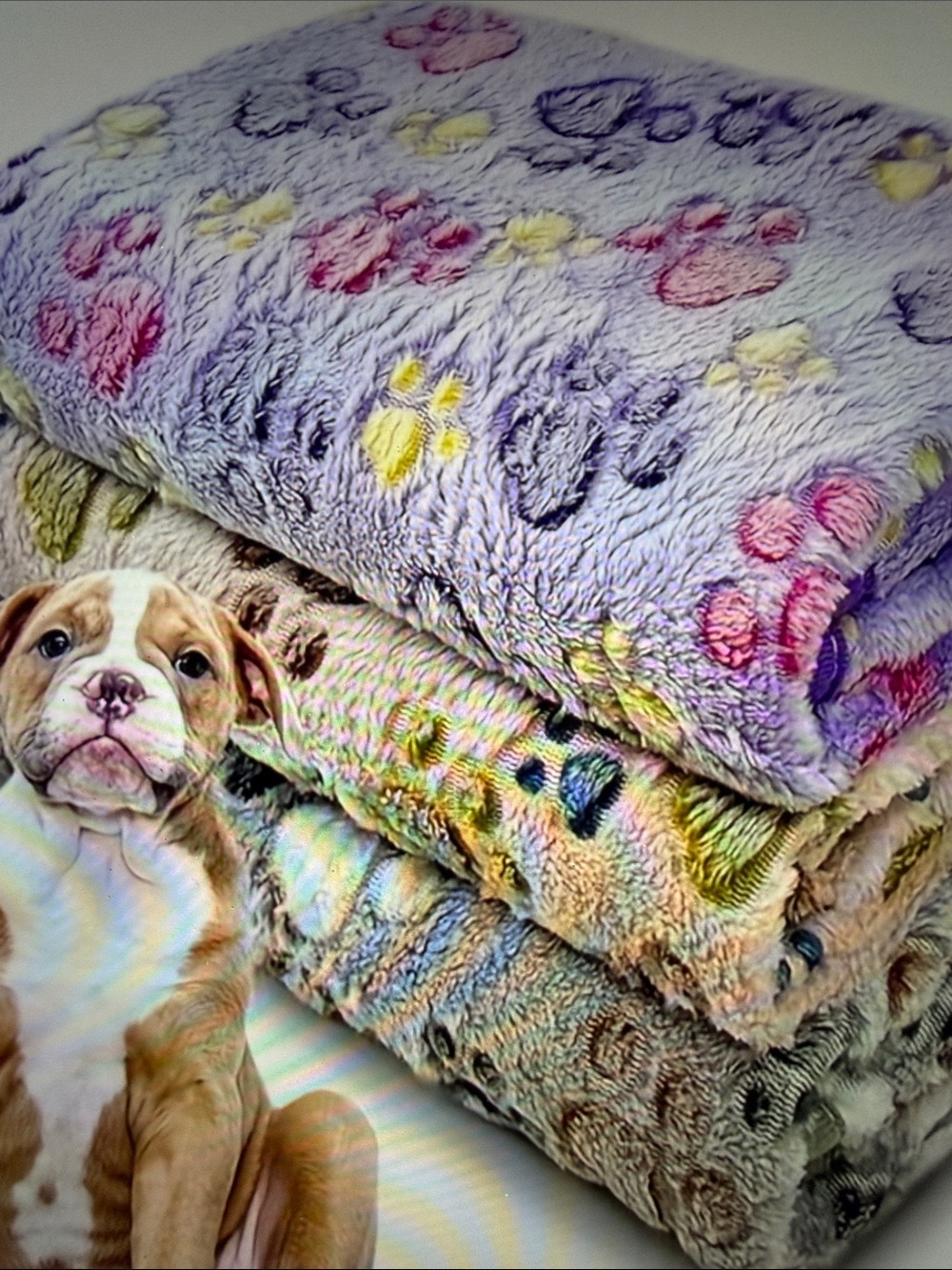 Plush Paw-Print Throw Blanket - you color choice
